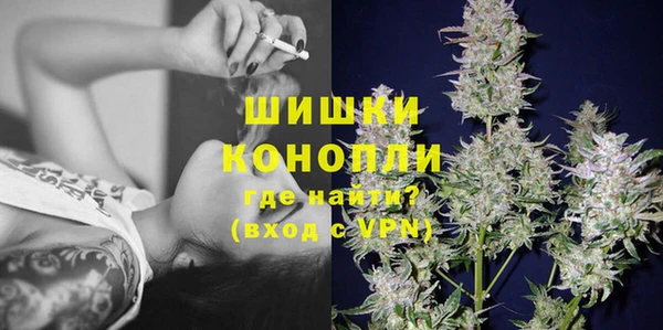 амф Арсеньев