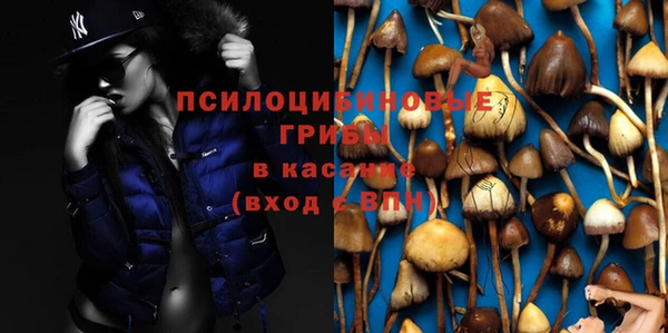 гашиш Аркадак