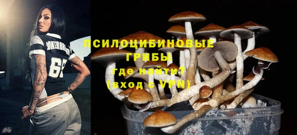твердый Армянск